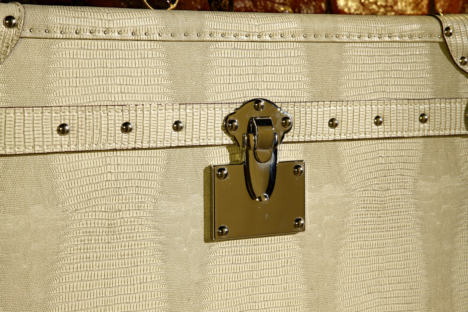 TRUNK T813