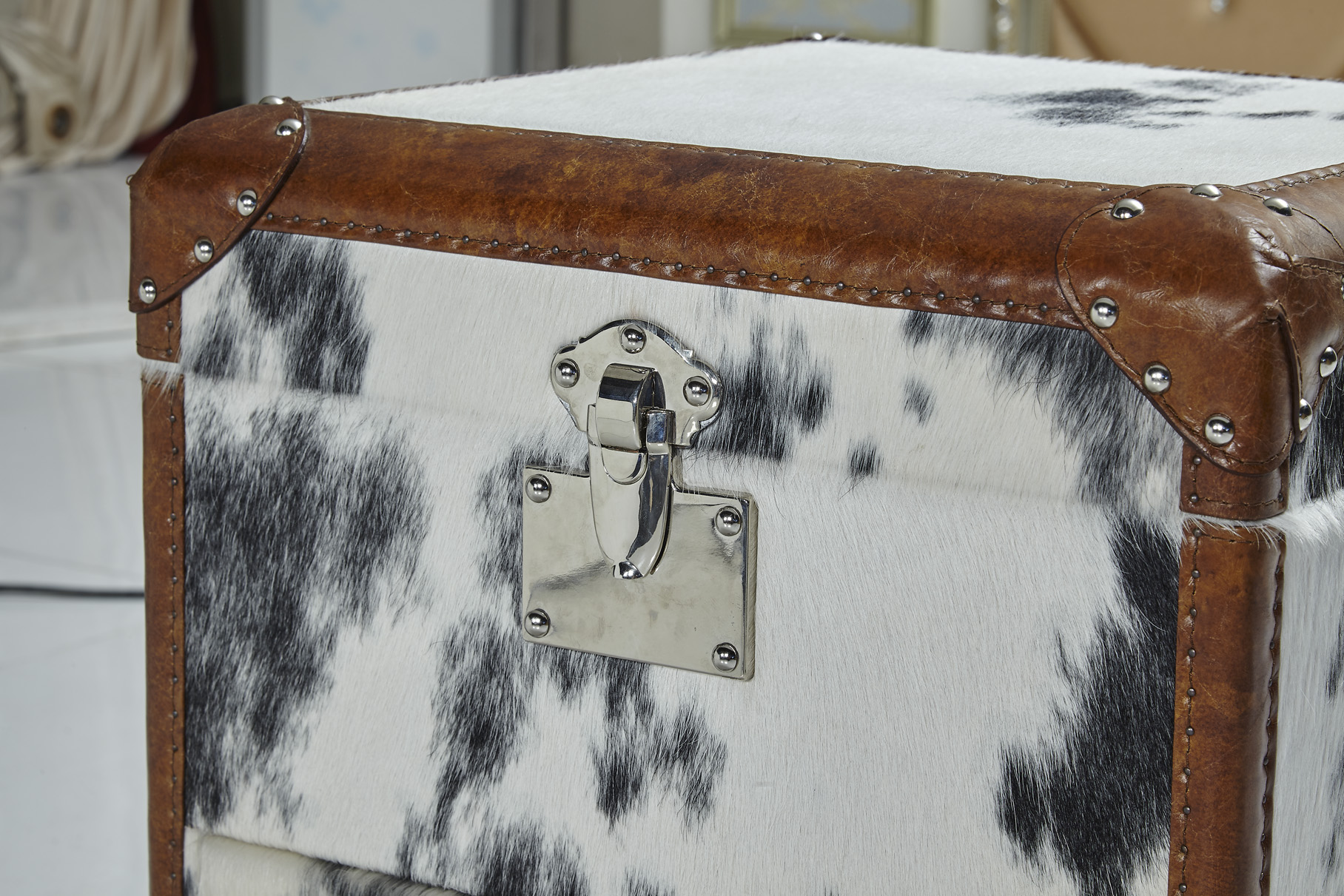 TRUNK T913